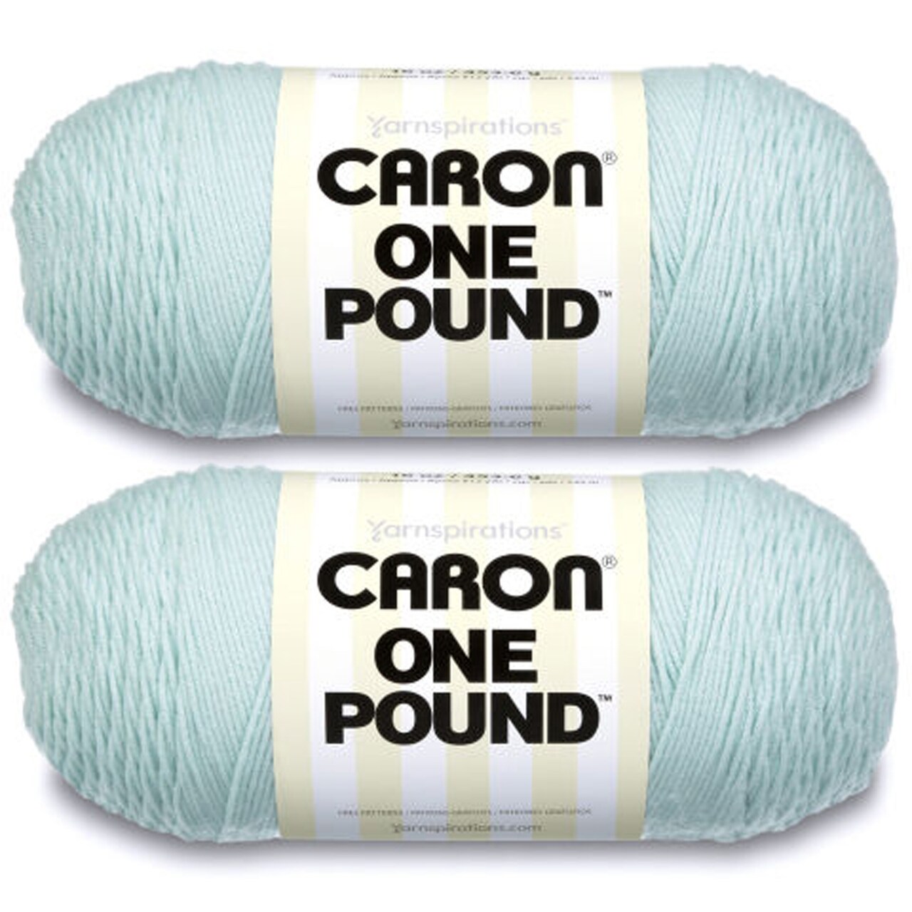 Caron One Pound Pale Green Yarn - 2 Pack of 454g/16oz - Acrylic - 4 Medium (Worsted) - 812 Yards - Knitting/Crochet